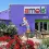 Amols’ Reduces Overselling by 82% and Saves 17 Hours Per Week with IceSync RMH–BigCommerce Integration