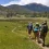 Boy Scouts of America’s Philmont Ranch Advances Online Presence